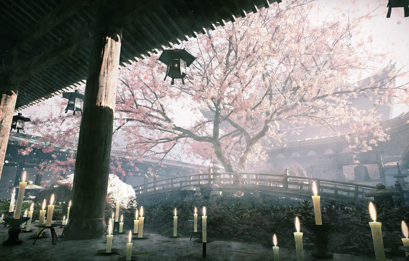 Фото обои весна, свечи, сакура, храм, цветение
