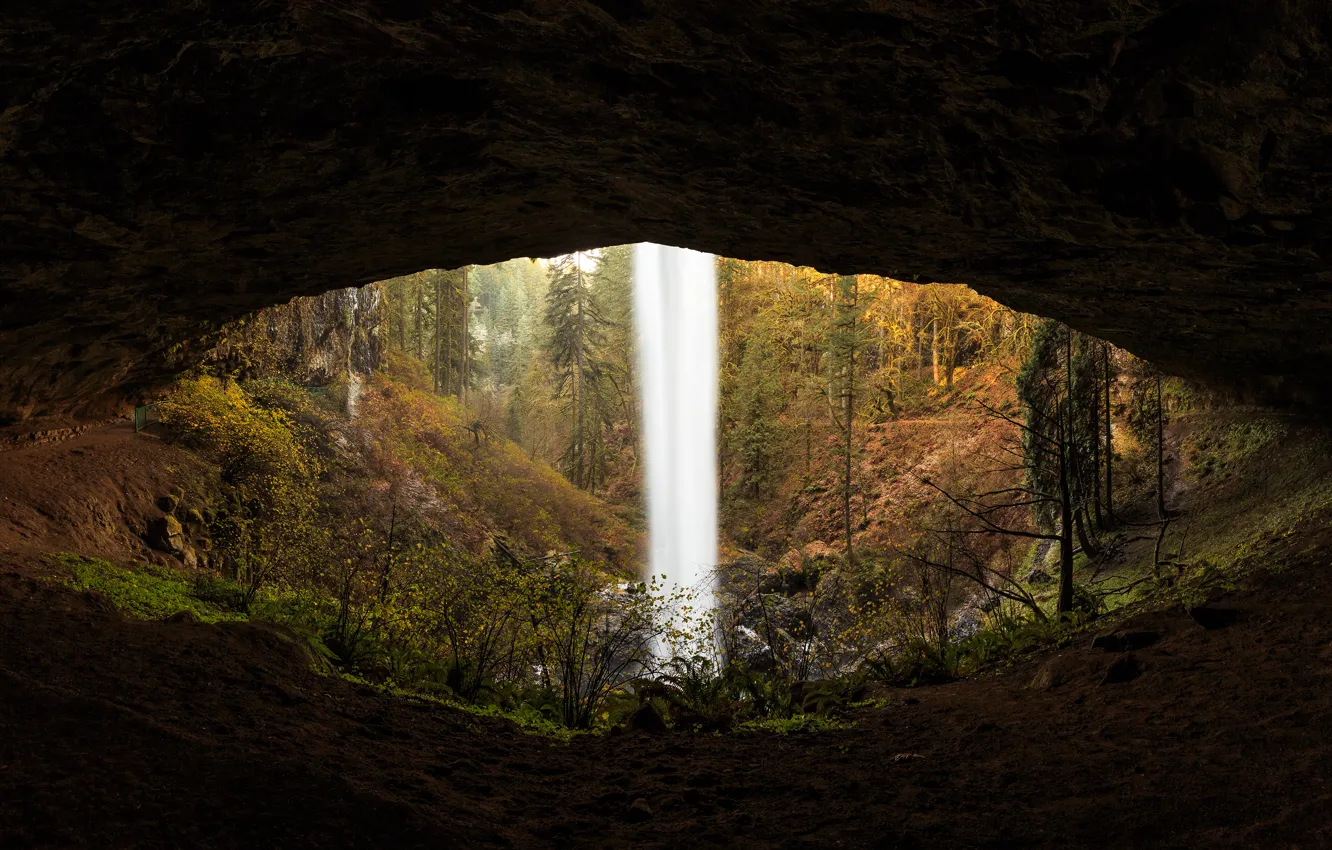 Фото обои лес, деревья, природа, водопад, пещера