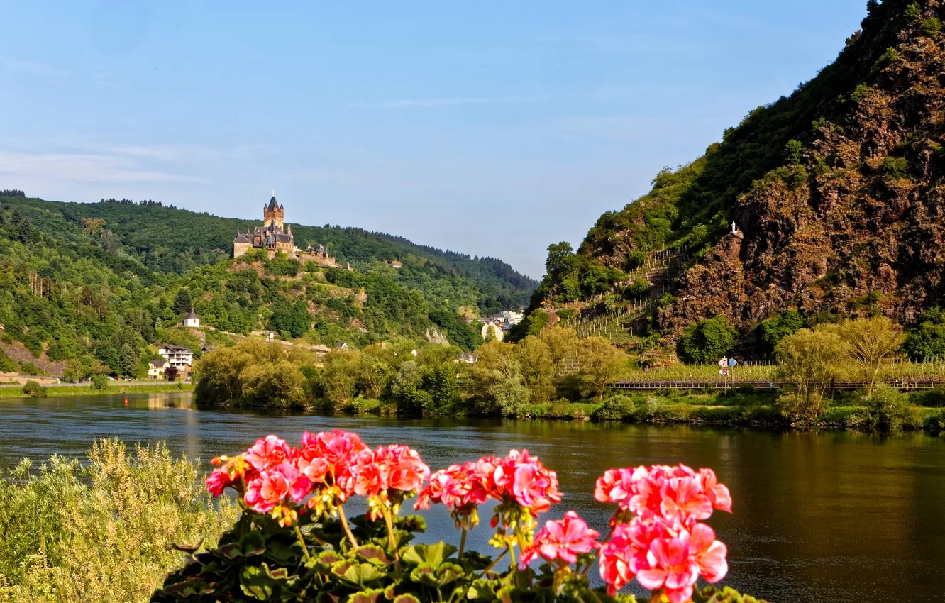 Фото обои лес, цветы, горы, река, замок, берег, Германия, Cochem