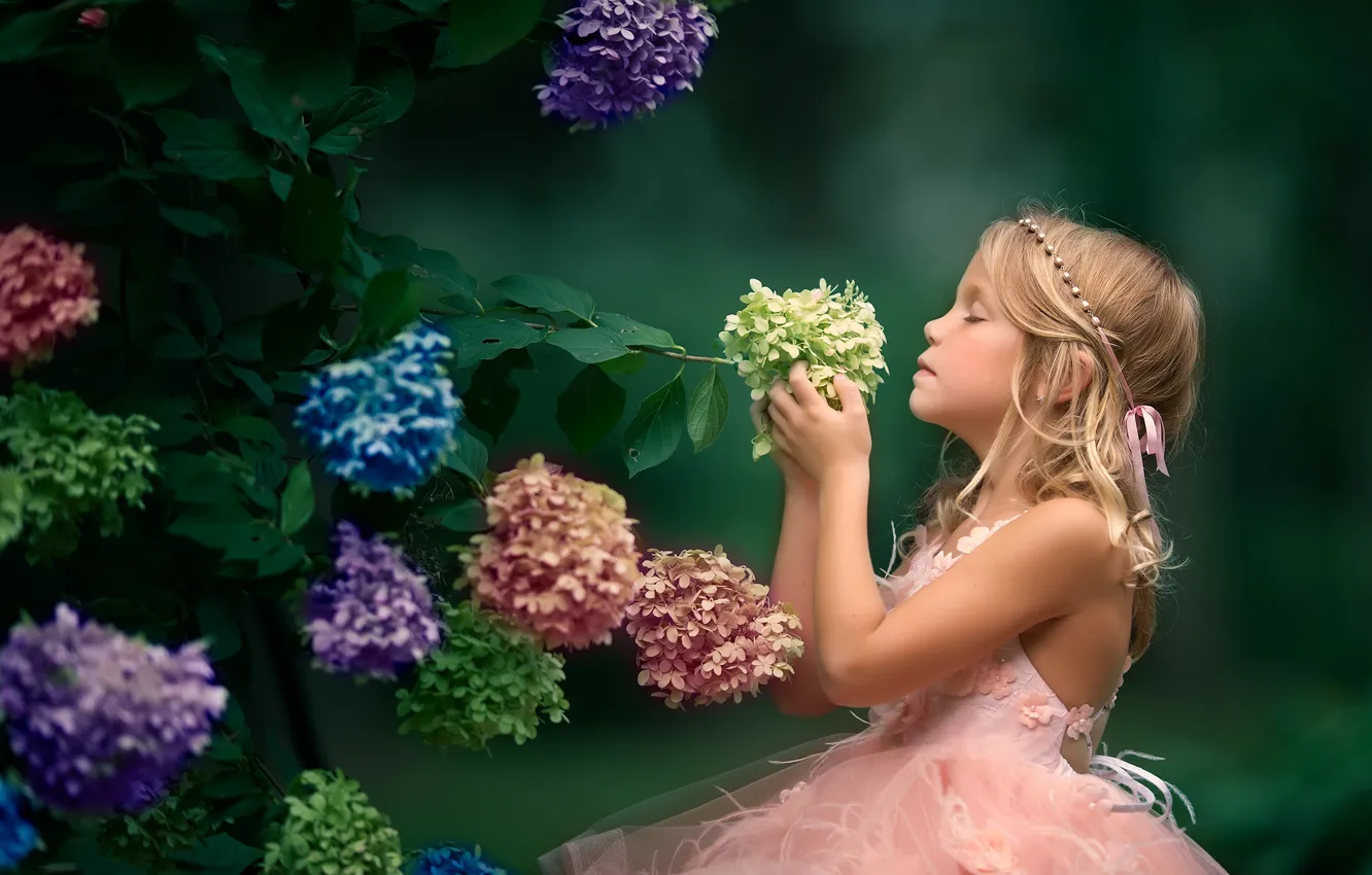 Фото обои цветы, настроение, девочка, соцветия, гортензия