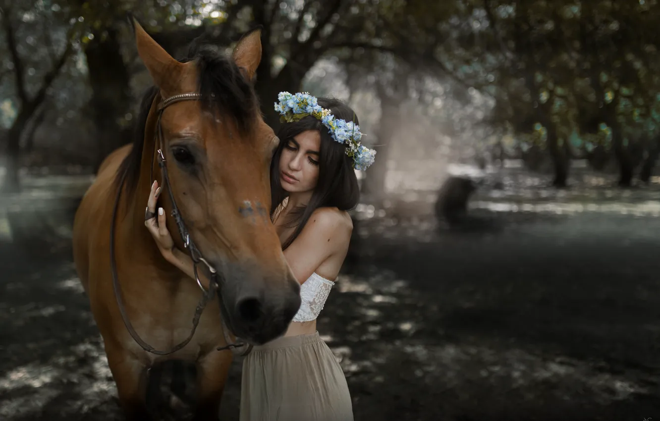 Фото обои девушка, лошадь, брюнетка