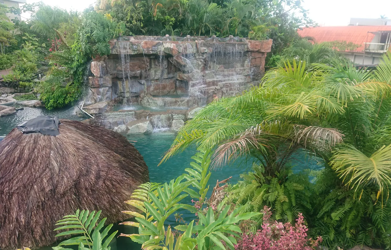Фото обои Nature in Suriname, Resorts in Suriname, Jacana Suriname, Beautiful wallpapers Surinam