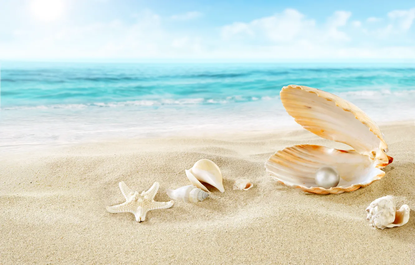Фото обои песок, море, пляж, облака, природа, жемчуг, ракушки, морская звезда
