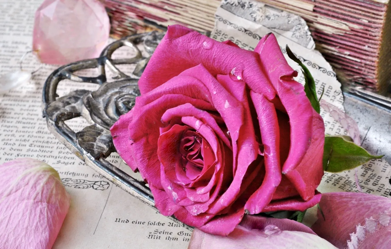 Фото обои стиль, розовая, роза, книги, старые, лепестки, бутон, страницы