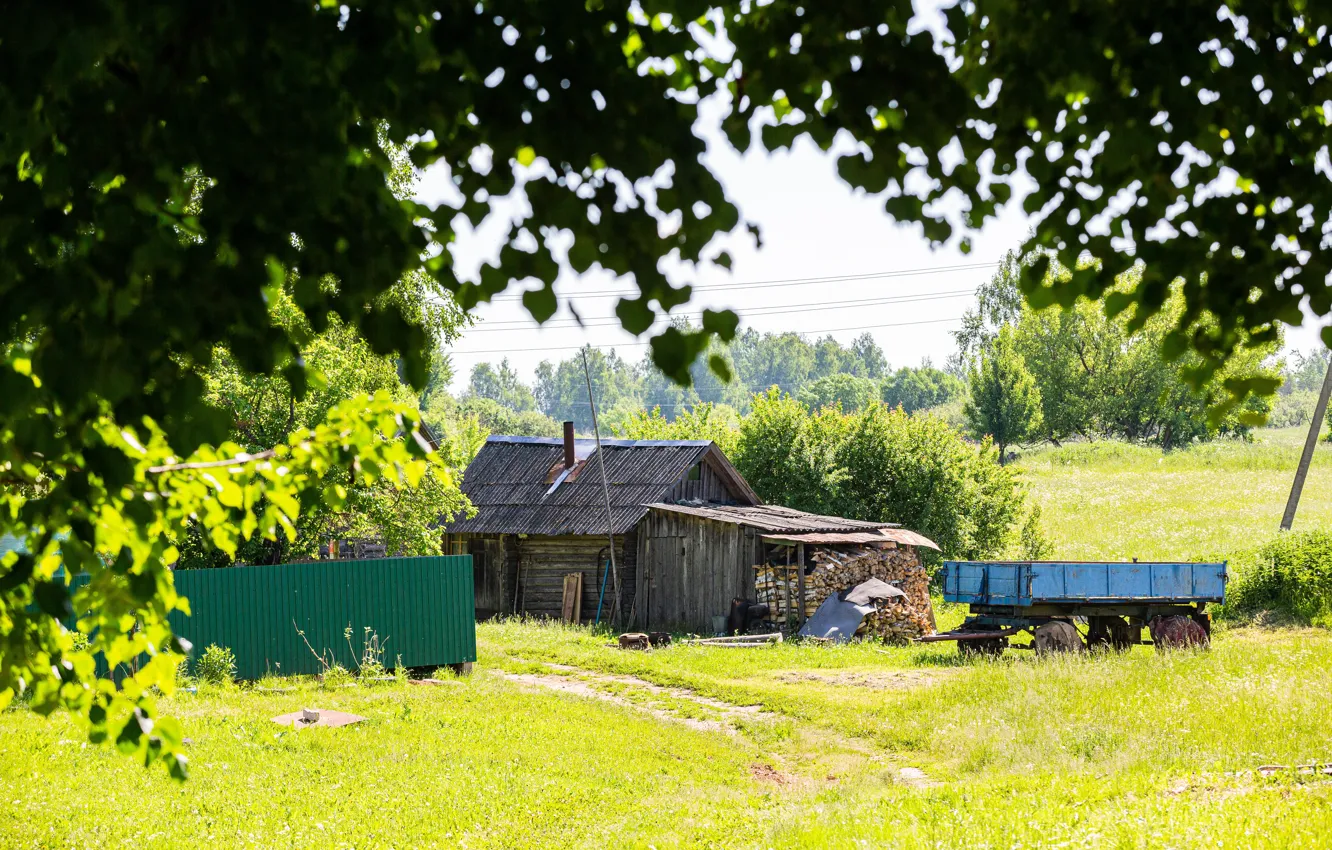 Фото обои лето, деревня, солнечное утро, смоленская область, деревня летом, природа россии, деревенское лето, деревенское утро