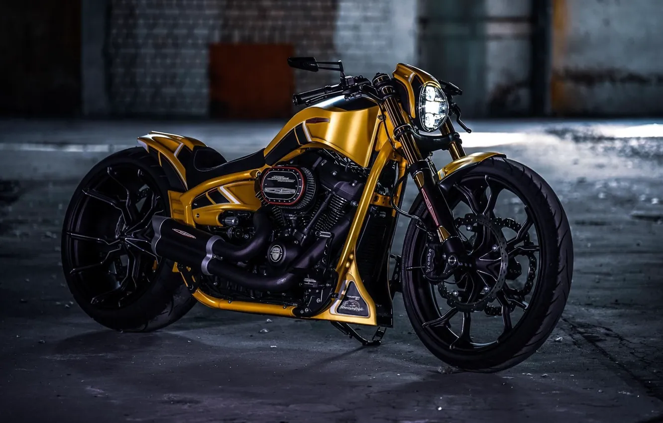 Harley Davidson Thunderbike Custom