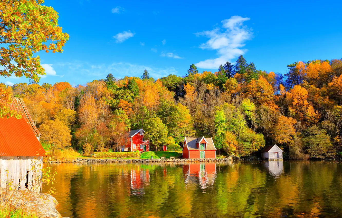 Фото обои осень, лес, небо, деревья, отражение, синева, голубое, берег