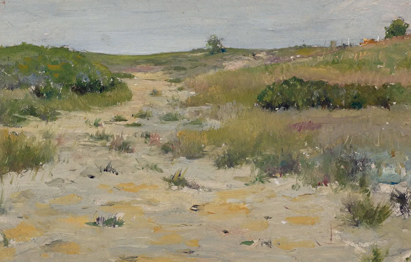 Фото обои пейзаж, картина, Уильям Чейз, William Merritt Chase, Вид Шиннекок Хилс