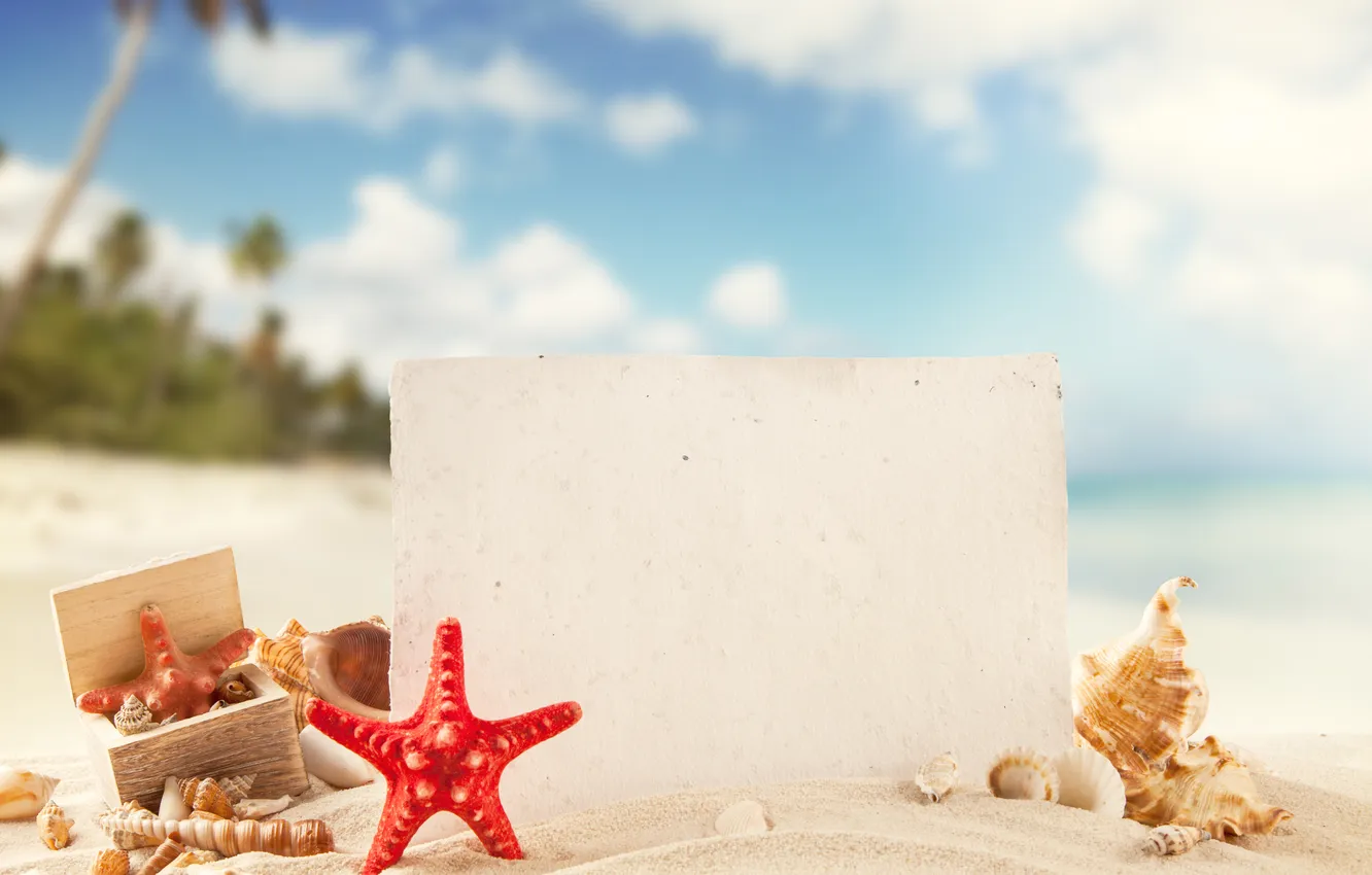 Фото обои песок, море, пляж, лето, солнце, отдых, ракушки, summer