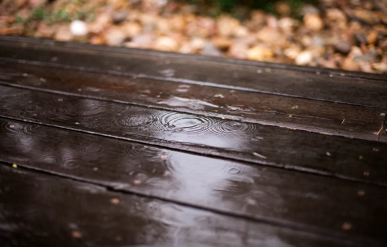 Фото обои осень, листья, капли, дождь, доски, размытость, деревянные