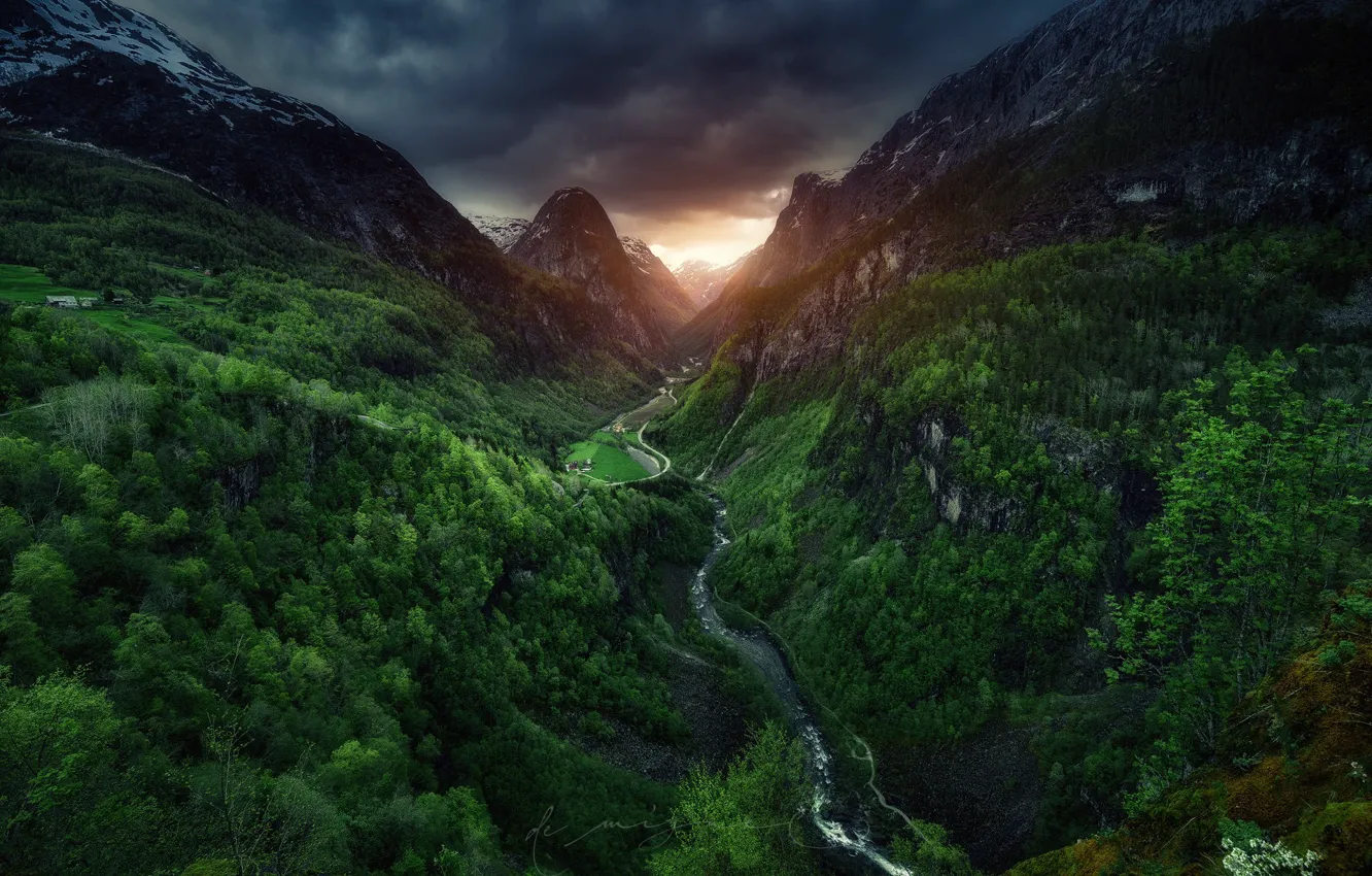 Фото обои лес, свет, горы, склоны
