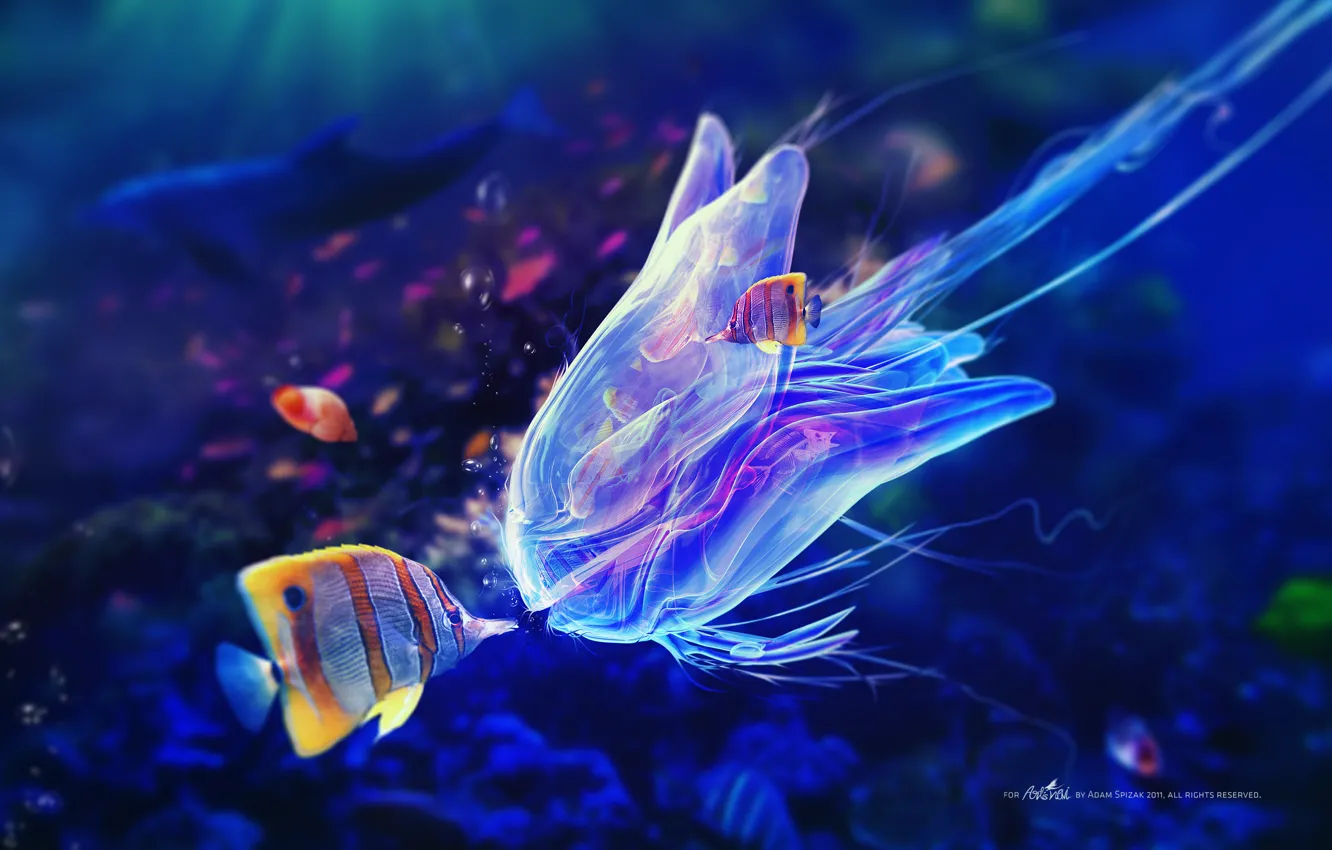 Фото обои рыбы, пузыри, синева, медуза, щупальца, под водой