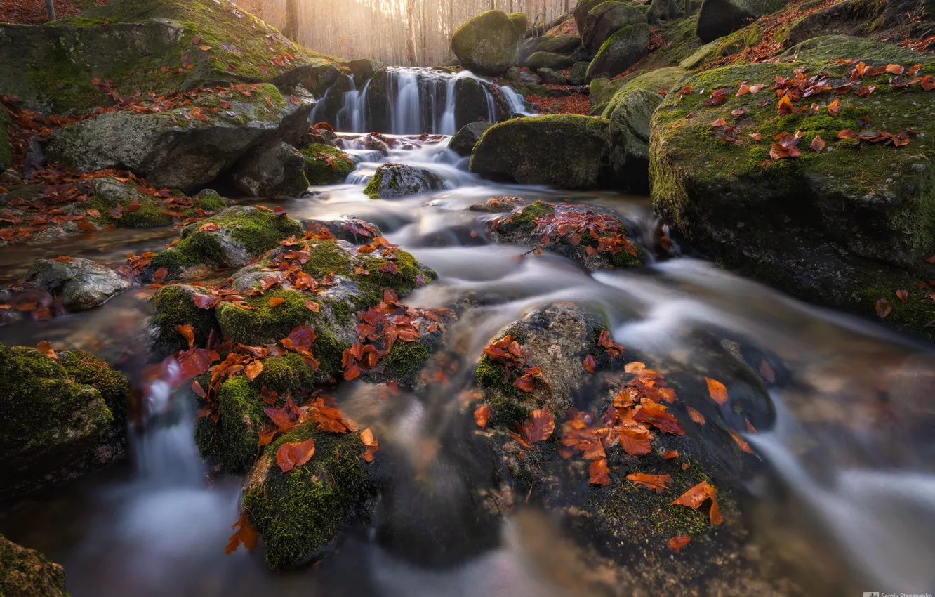 Фото обои осень, ручей, камни, водопад, мох, Чехия, речка, опавшие листья