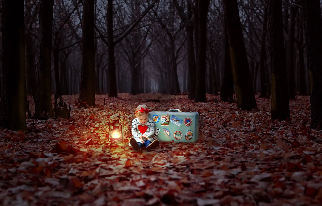 Фото обои осень, лес, девочка, чемодан