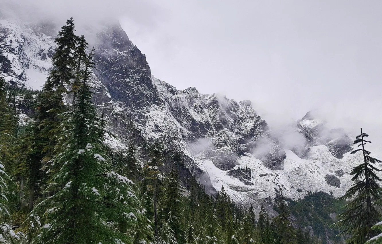 Фото обои зима, небо, снег, деревья, горы, природа, скалы, Канада