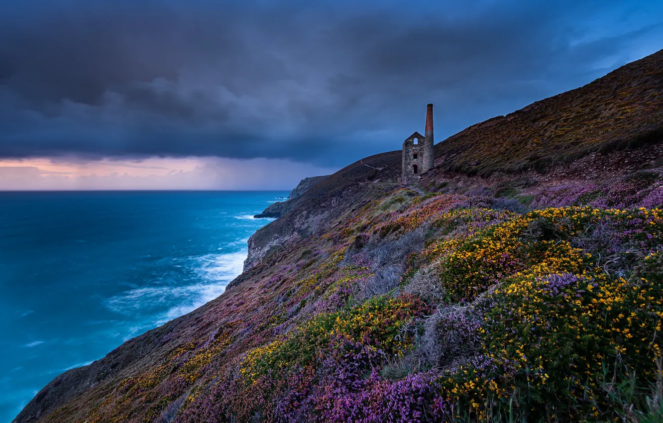 Фото обои море, цветы, побережье, Англия, England, Корнуолл, Cornwall, Кельтское море