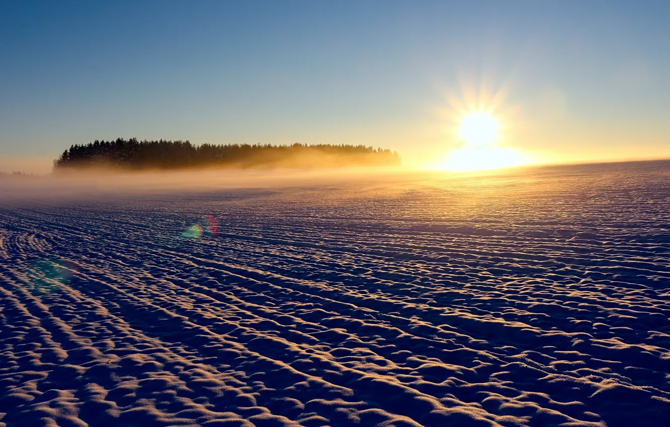 Фото обои лес, солнце, снег, туман, Закат