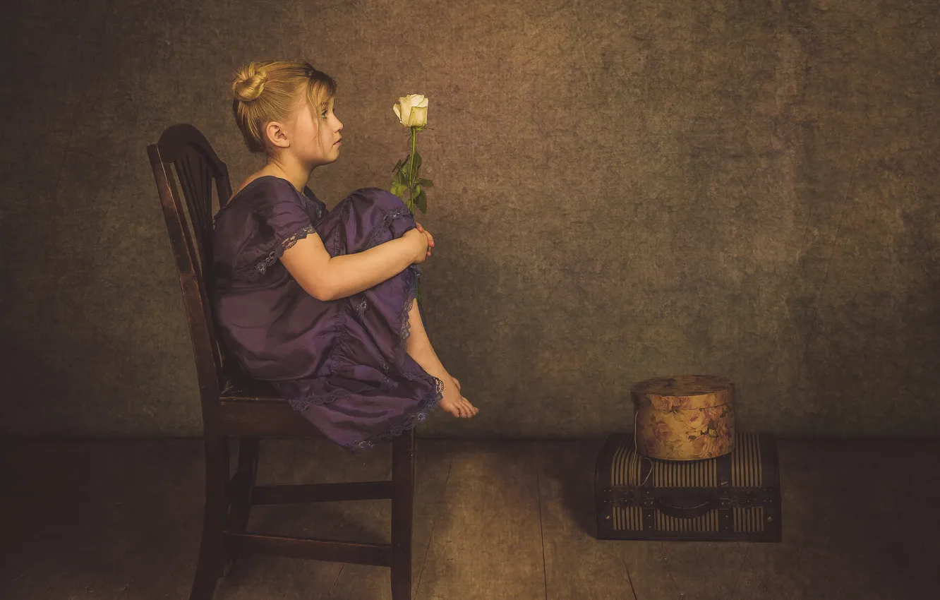 Фото обои роза, стул, девочка