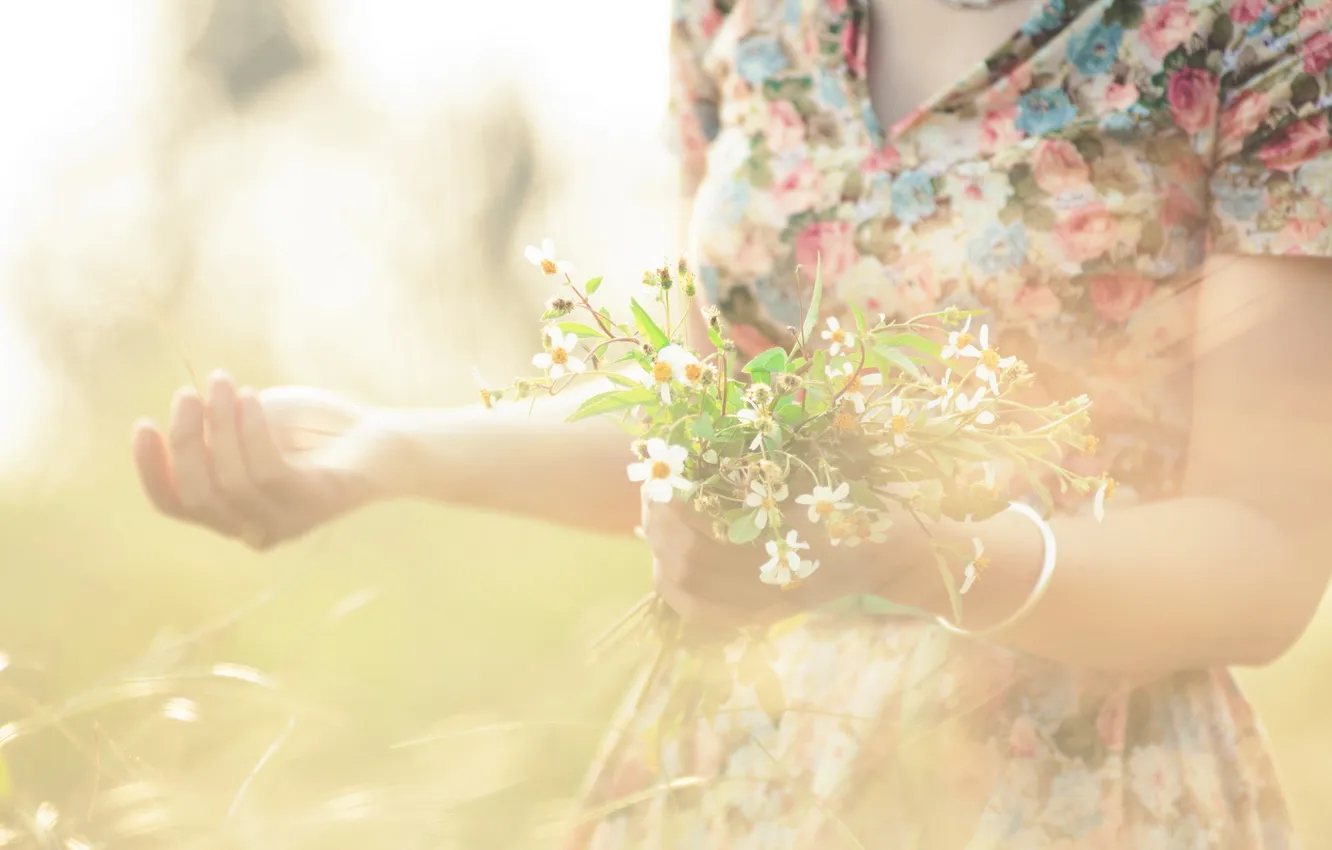 Фото обои лето, девушка, цветы, настроение
