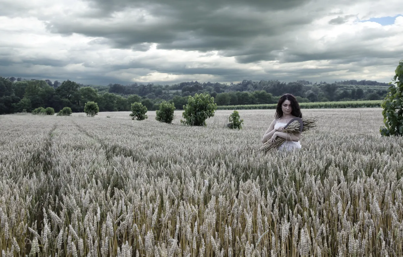 Фото обои поле, девушка, природа, колосья