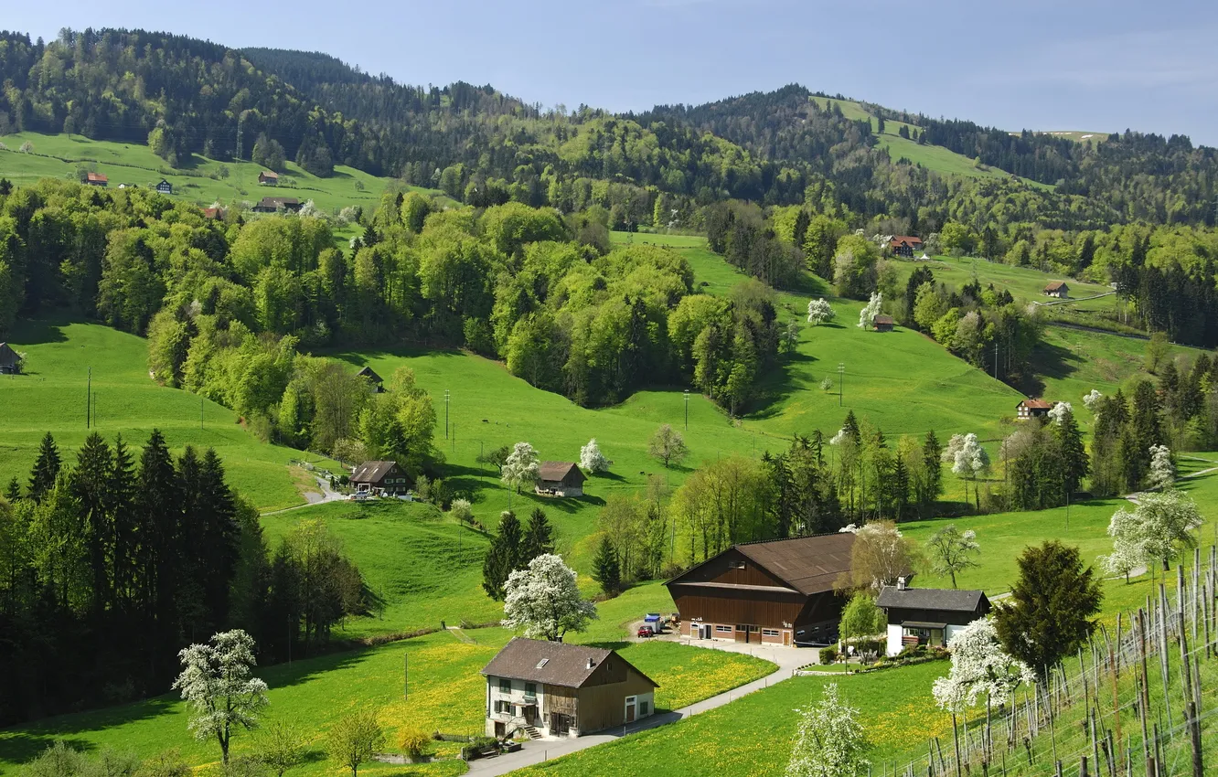 Фото обои деревья, горы, Швейцария, Switzerland, nature, природа.