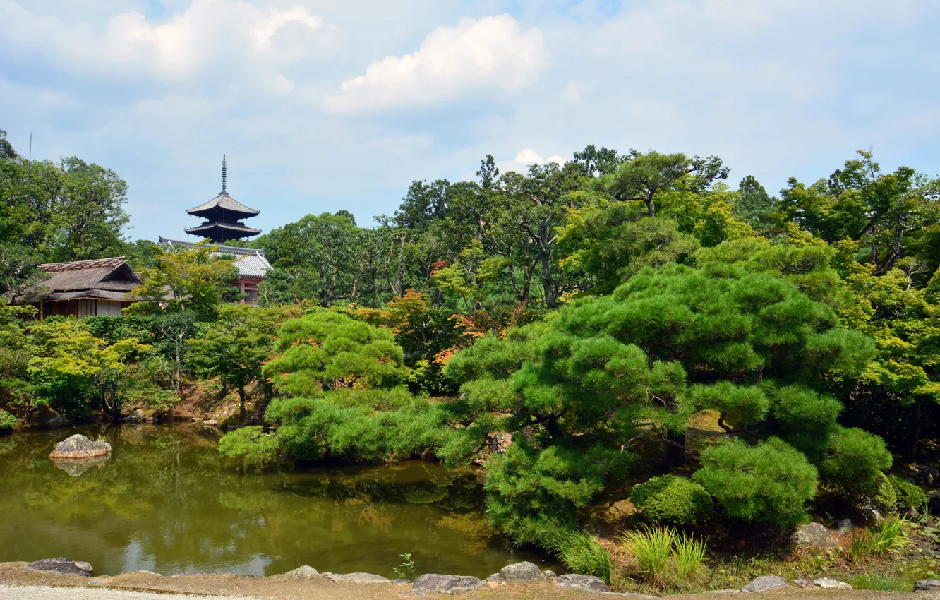Фото обои Природа, Деревья, Япония, Пруд, Парк, Japan, Nature, Park