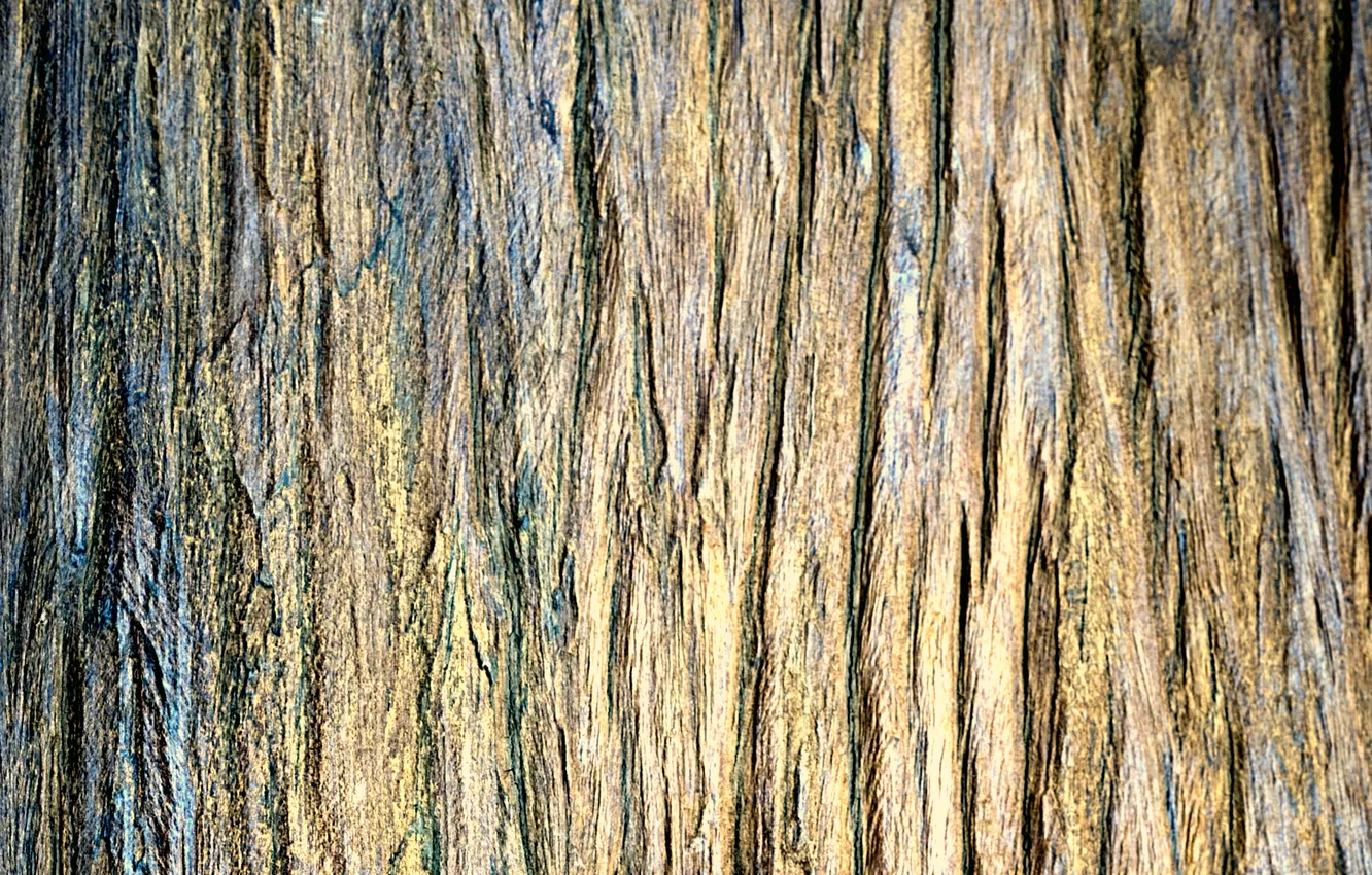 Фото обои цвет, структура, wood, отделка