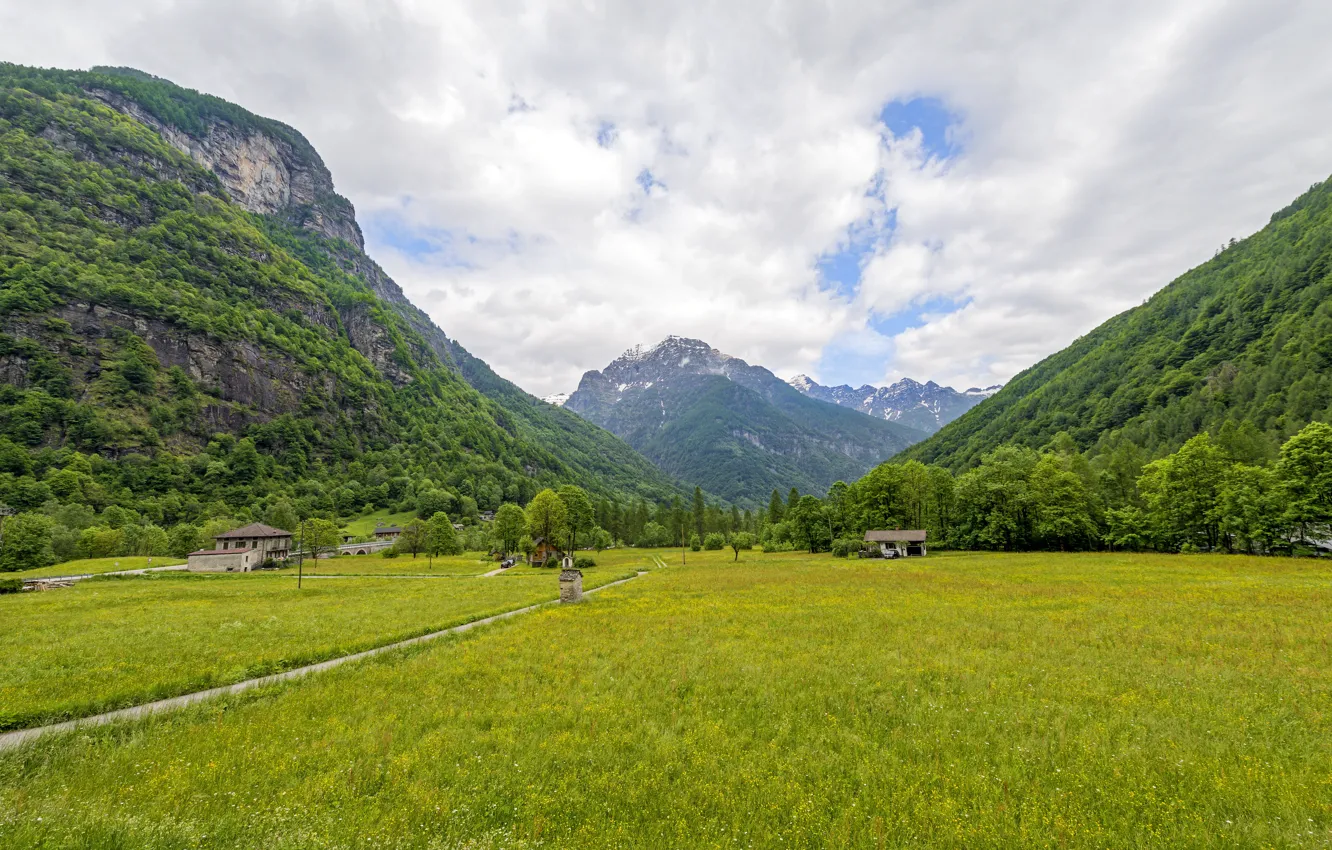 Фото обои трава, облака, деревья, горы, Швейцария, долина, ущелье, Canton Ticino