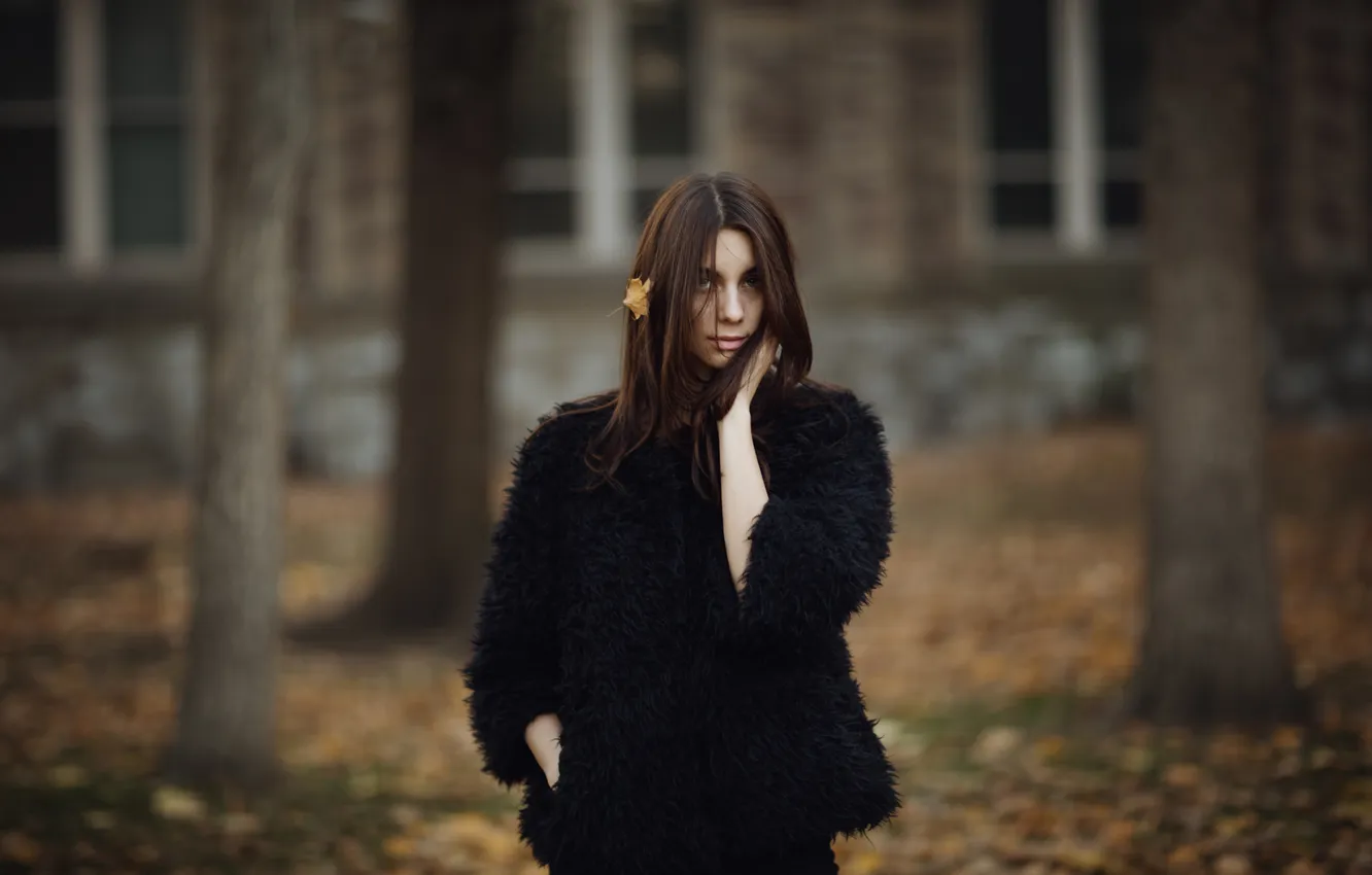 Фото обои осень, лист, Ashley, Jesse Herzog