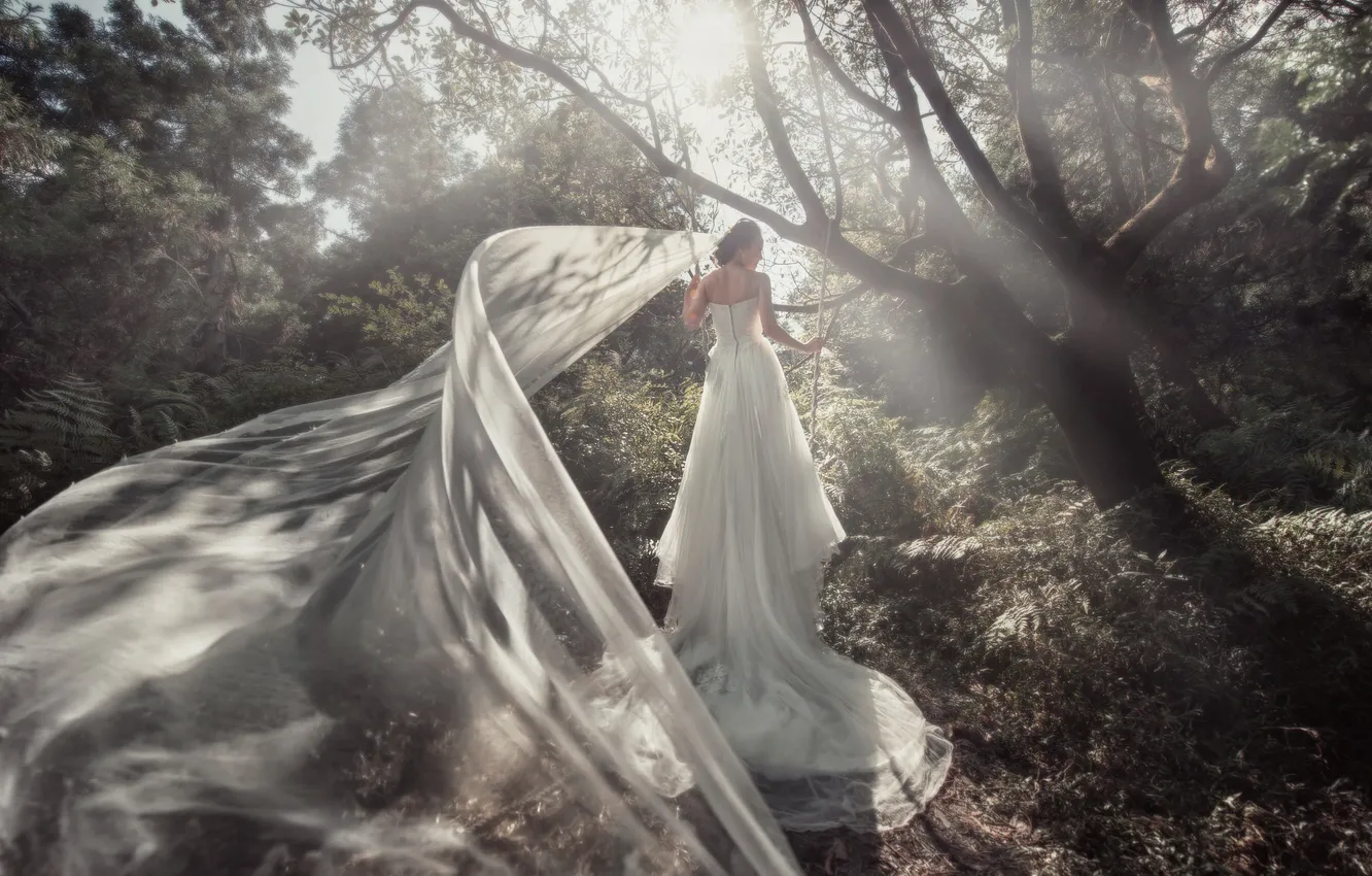 Фото обои лес, девушка, платье, невеста, фата