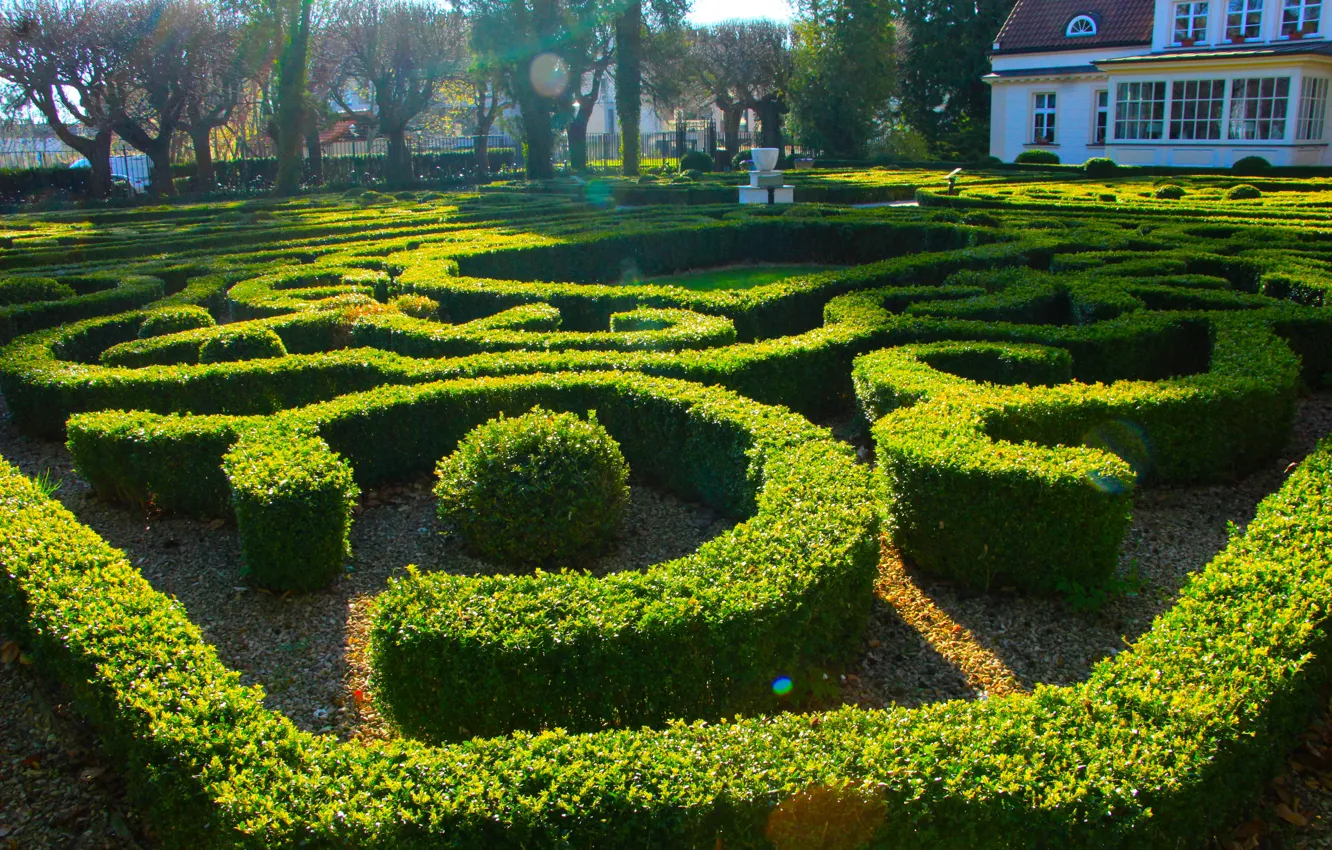 Фото обои park, garden, Hedge