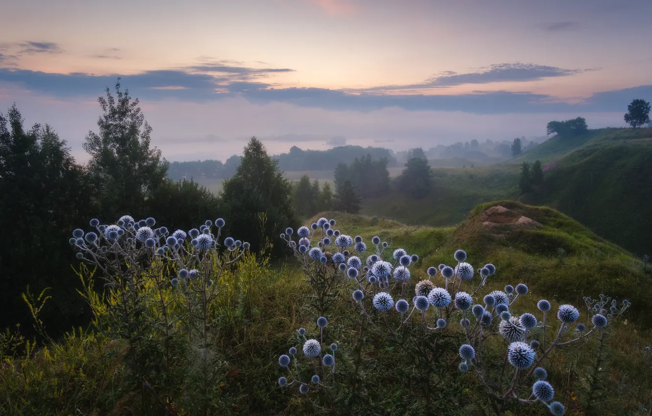 Фото на переднем плане