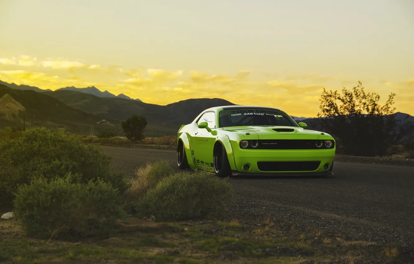 Фото обои green, тюнинг, Dodge Challenger, tuning, muscle car, low, liberty walk