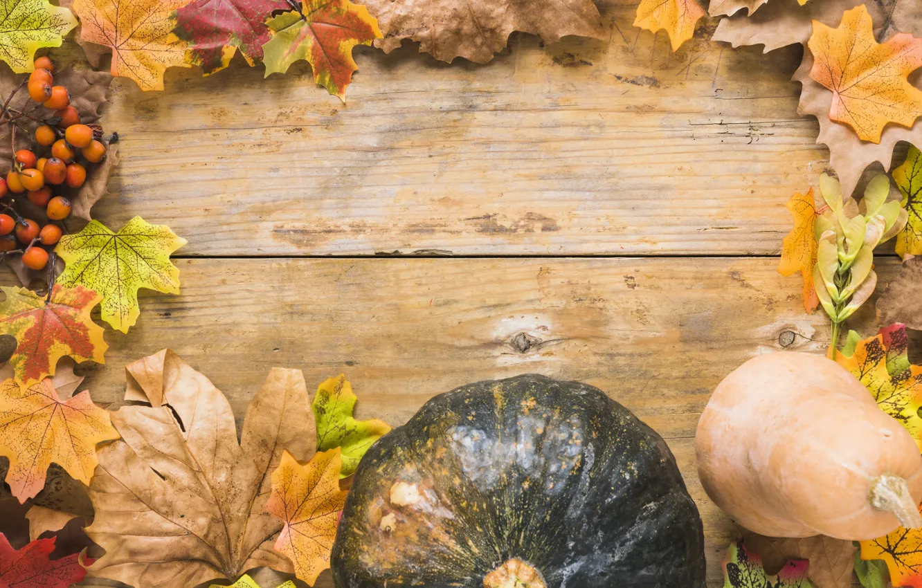 Фото обои осень, листья, фон, доски, colorful, тыква, клен, wood