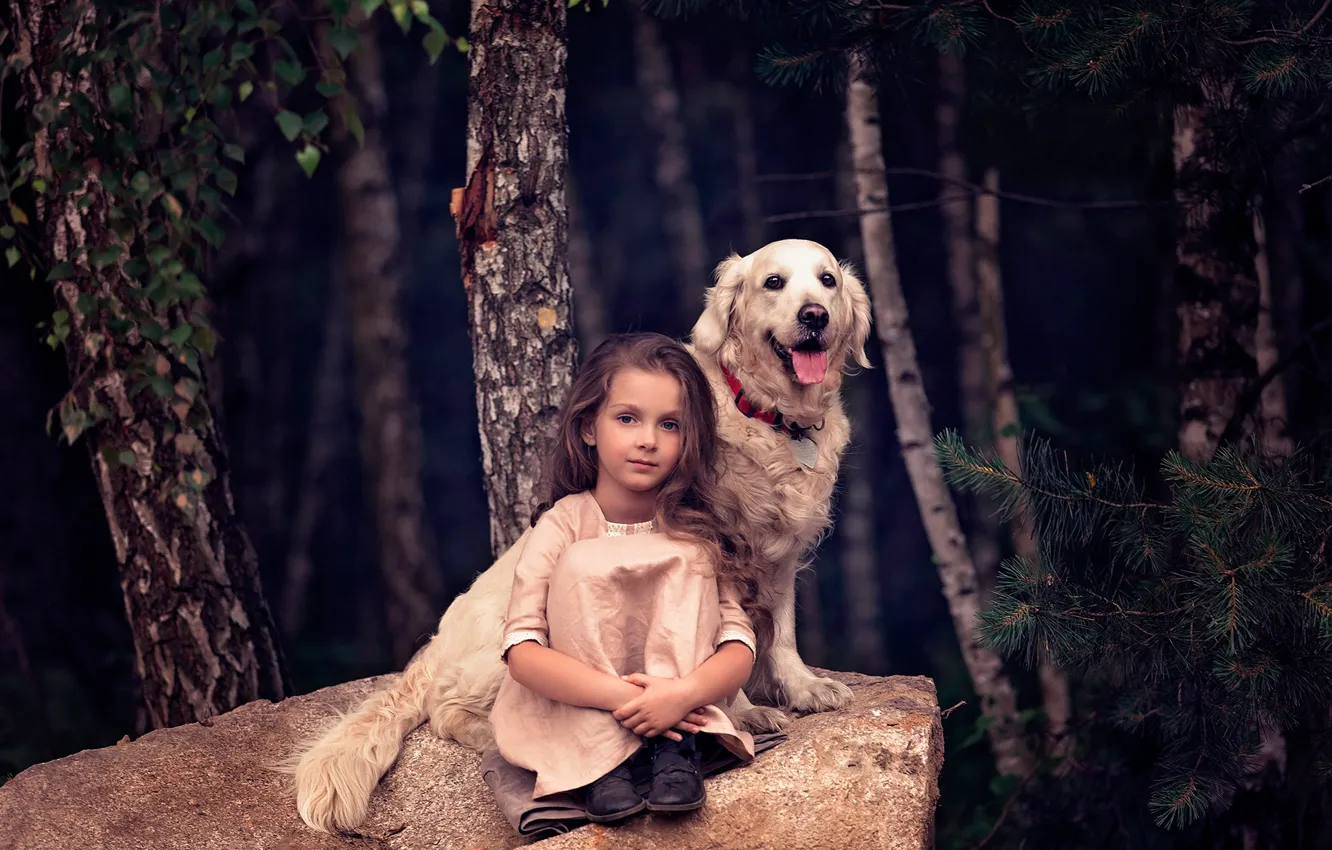 Фото обои лес, деревья, камень, собака, девочка, друзья