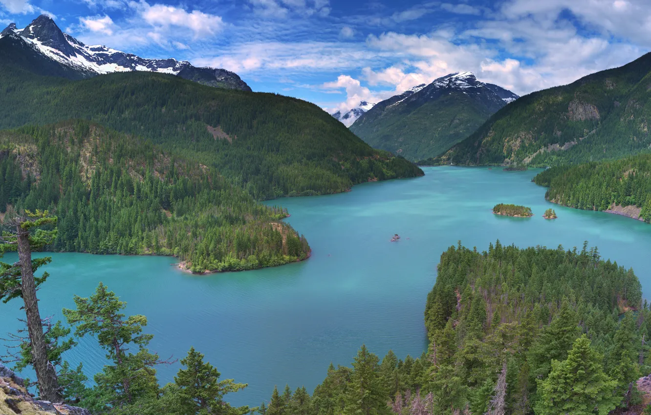 Фото обои лес, горы, озеро, панорама, штат Вашингтон, Washington State, North Cascades National Park, Diablo Lake