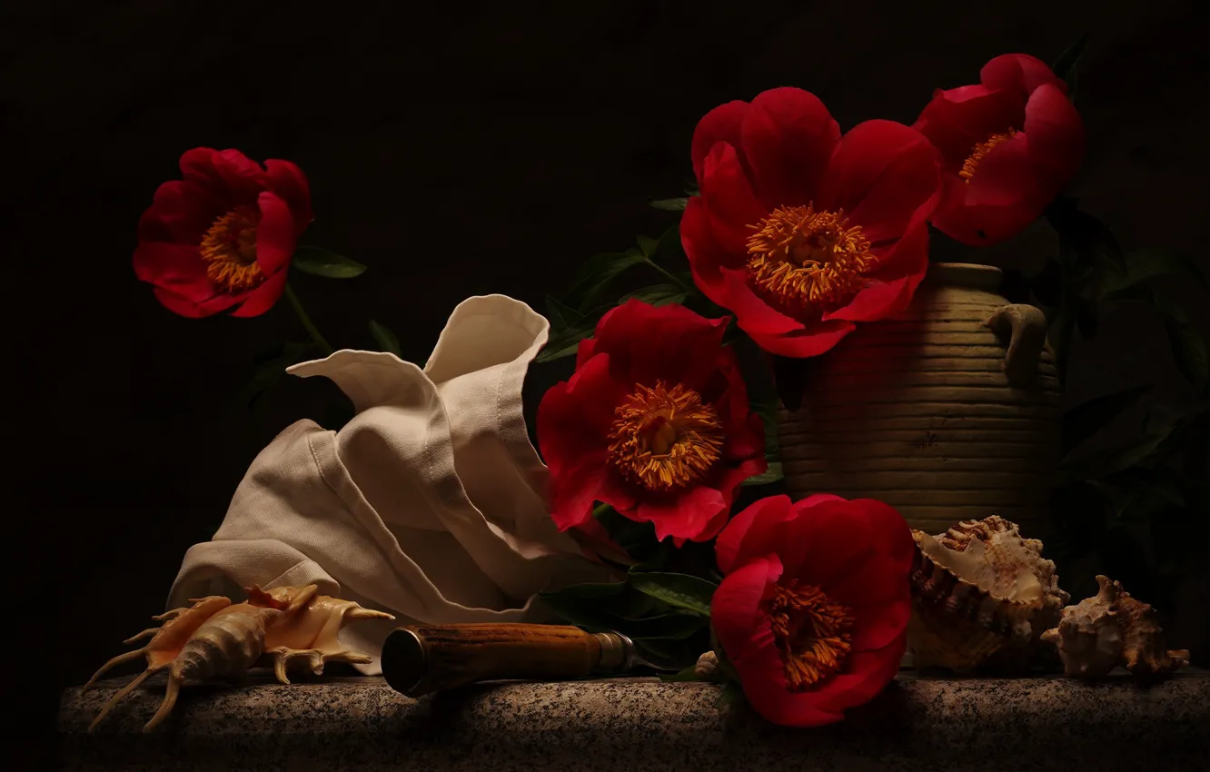 Фото обои цветы, ракушки, натюрморт, салфетка, пионы