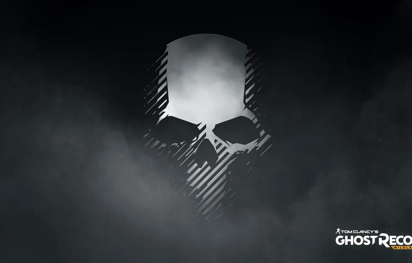 Фото обои skull, logo, tom clancy's ghost recon
