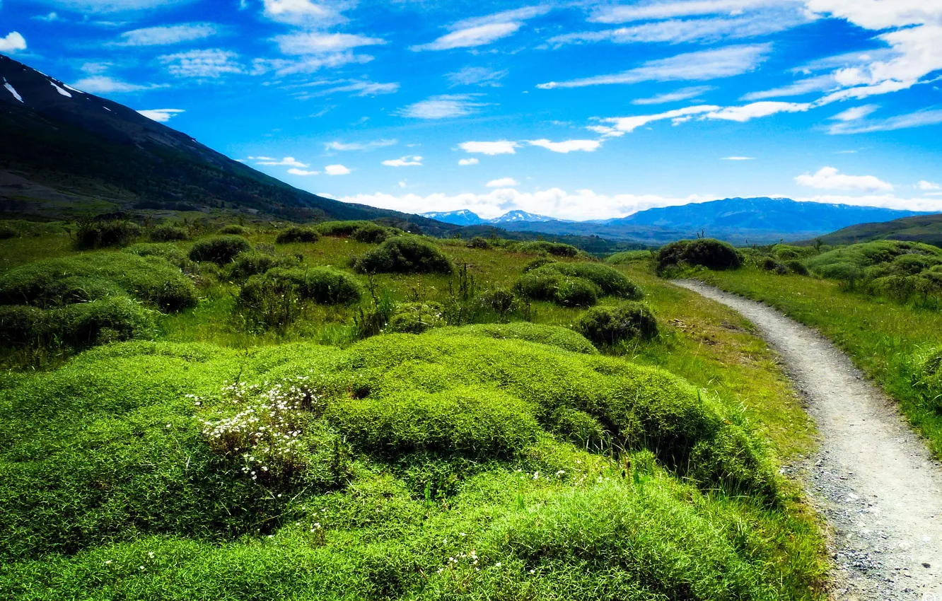Фото обои зелень, небо, трава, облака, горы, долина, тропинка, Patagonia