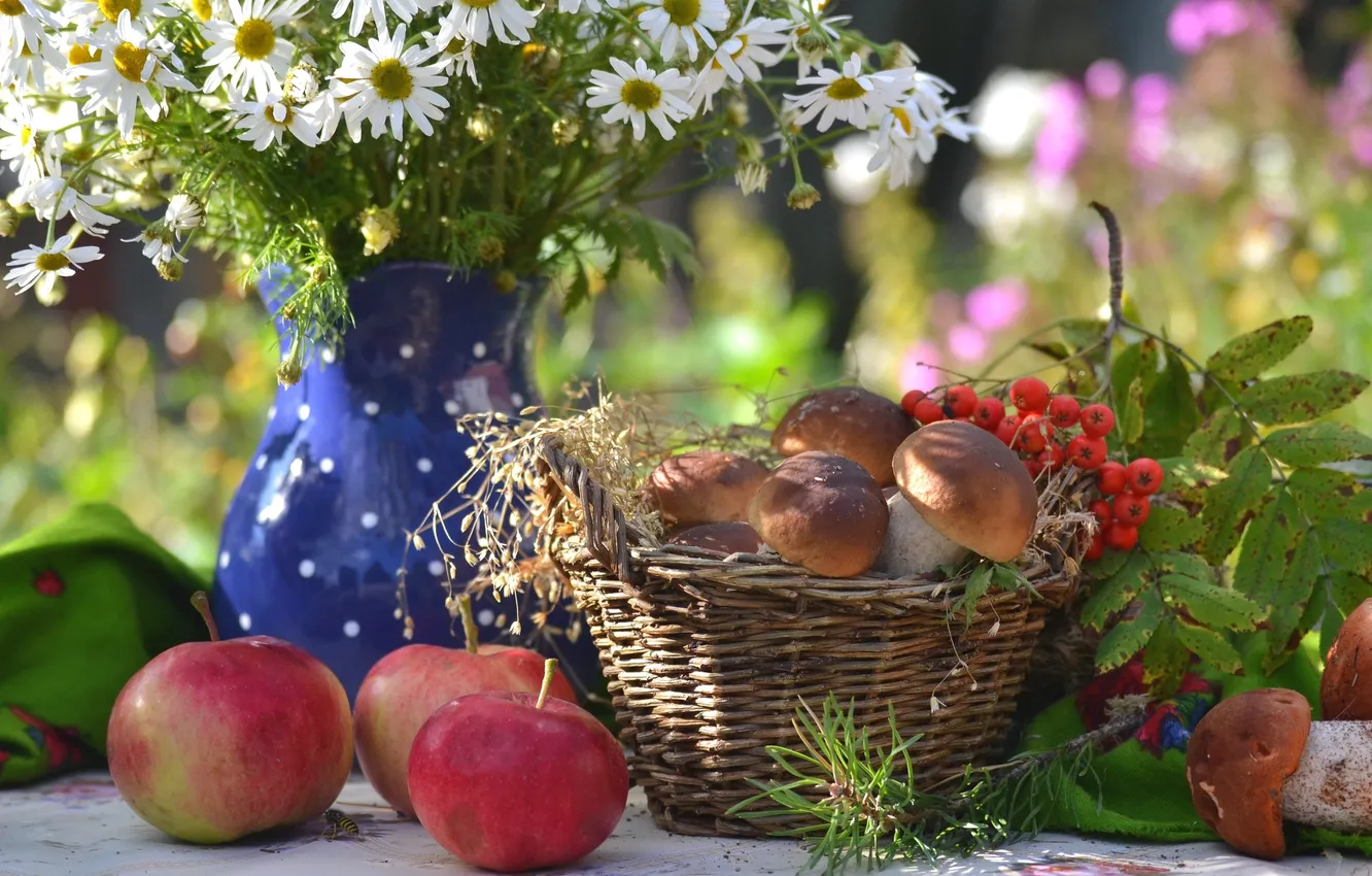 Фото обои яблоки, грибы, ромашки, натюрморт, рябина