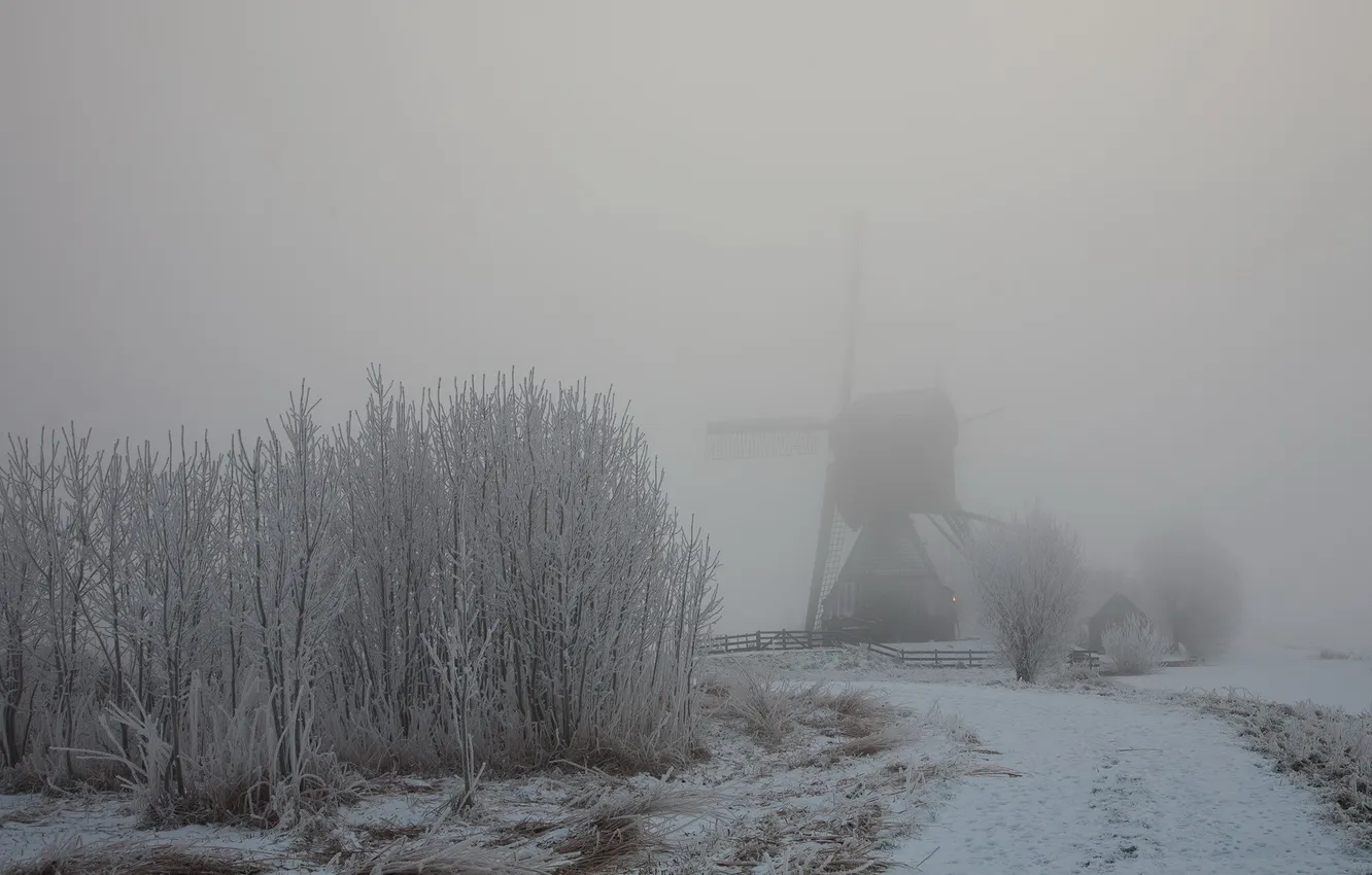 Фото обои зима, дорога, пейзаж, природа, туман, мельница