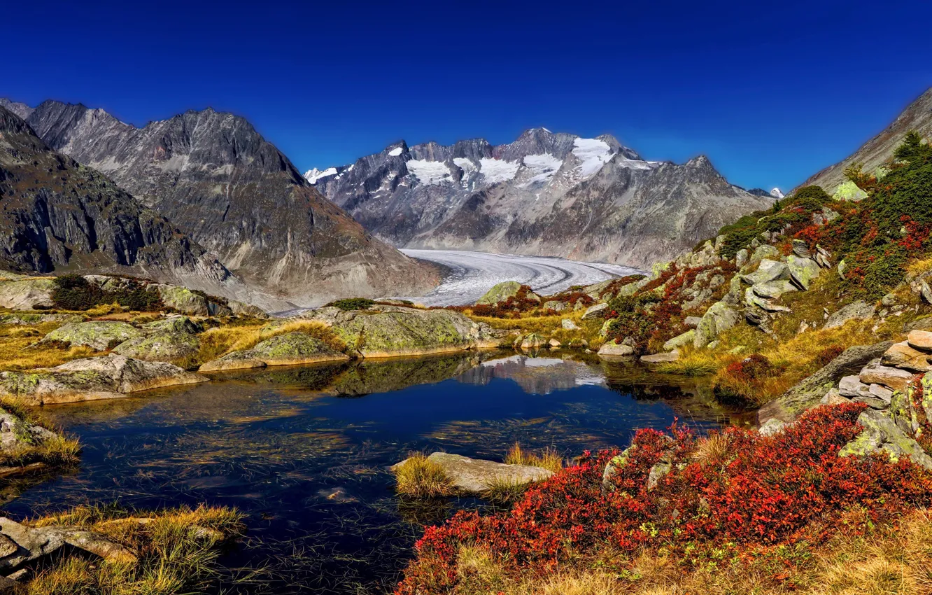 Фото обои осень, горы, озеро, Швейцария, Switzerland, Berg Lake, Bernese Alps, Бернские Альпы