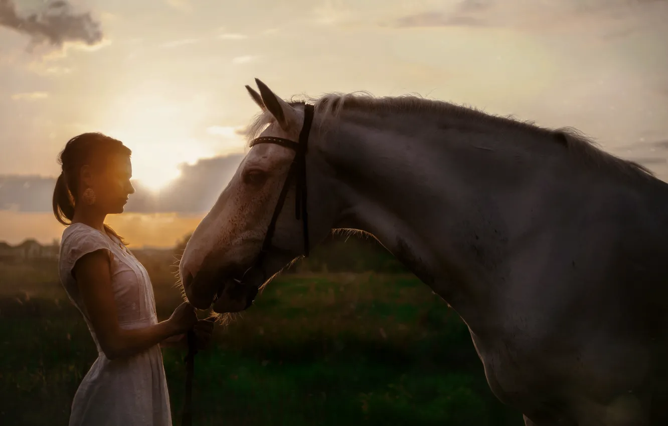 Фото обои девушка, закат, конь