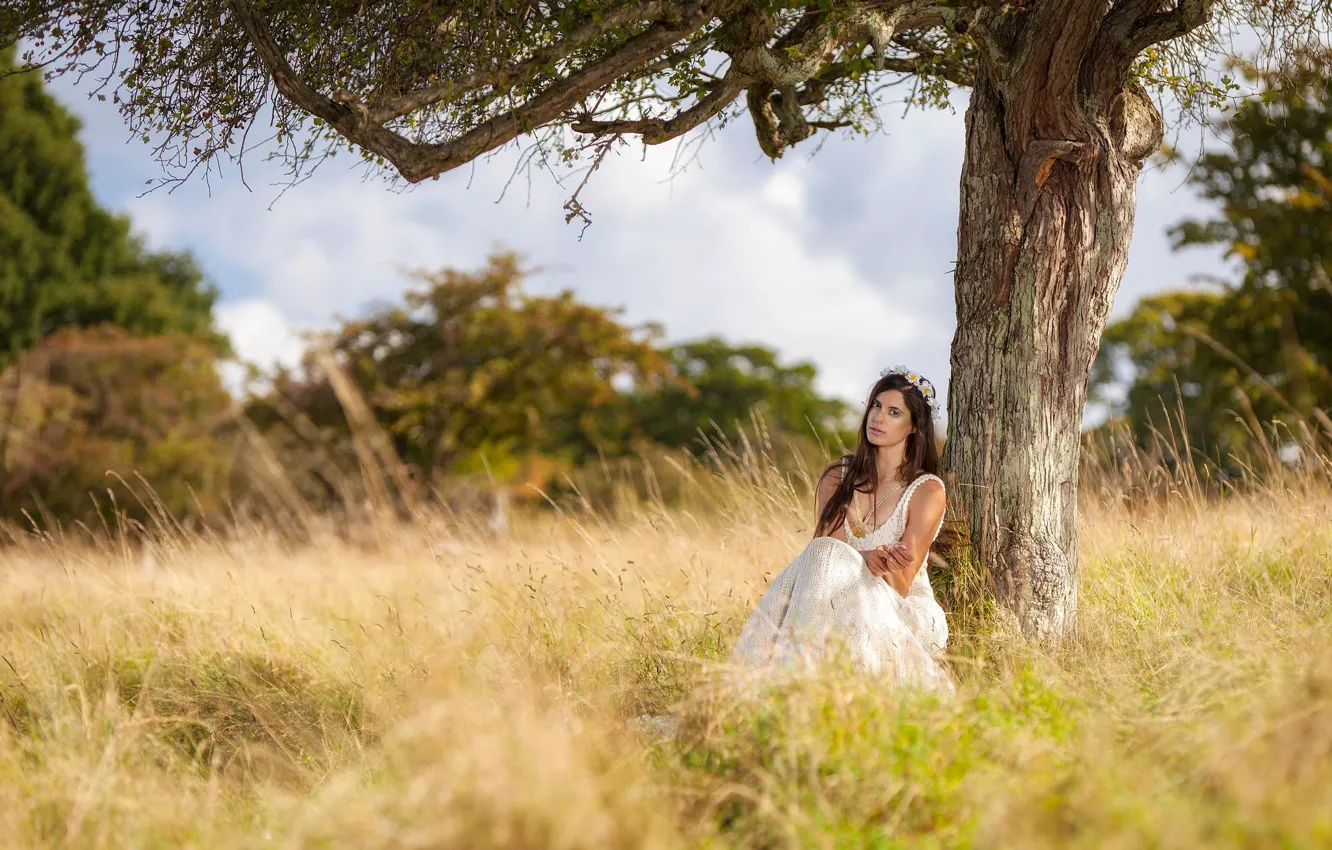 Фото обои девушка, природа, дерево, белое, платье, сидит