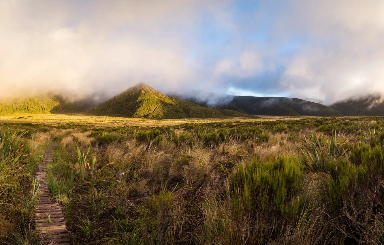 Фото обои зелень, поле, трава, солнце, облака, горы, туман, долина