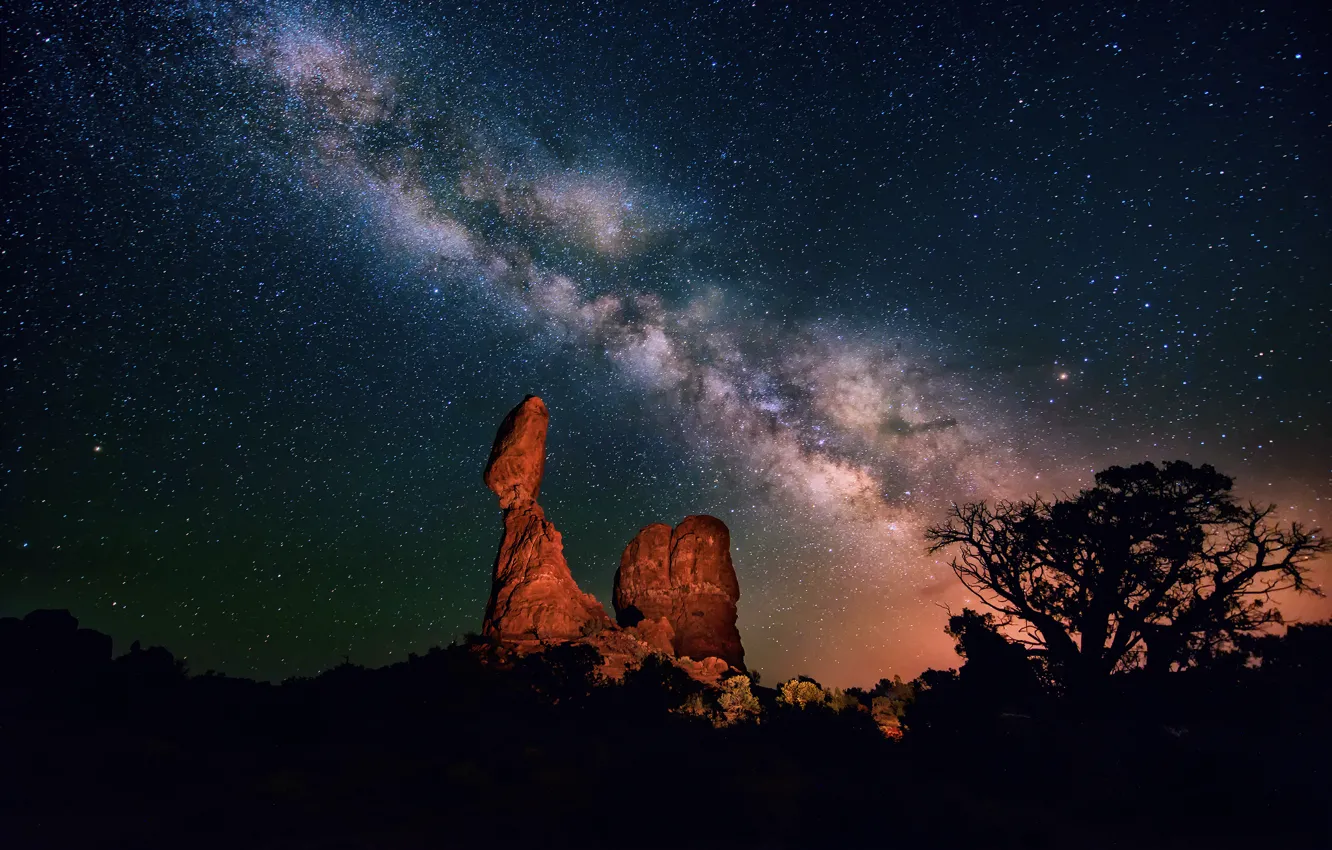 Фото обои небо, звезды, ночь, дерево, пустыня, каньон, млечный путь, силуэты