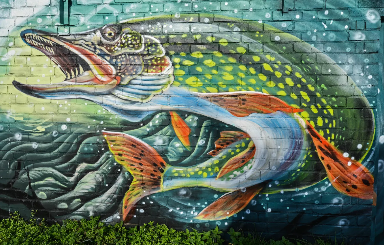 Фото обои стена, граффити, рыба, щука