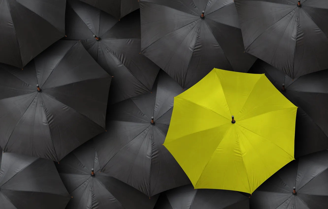 Фото обои black, yellow, umbrella