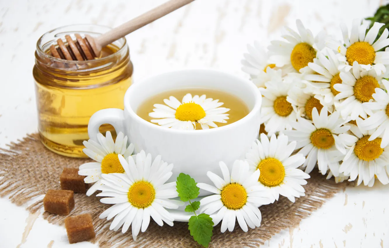 Фото обои цветы, ромашки, мед, чай душистый