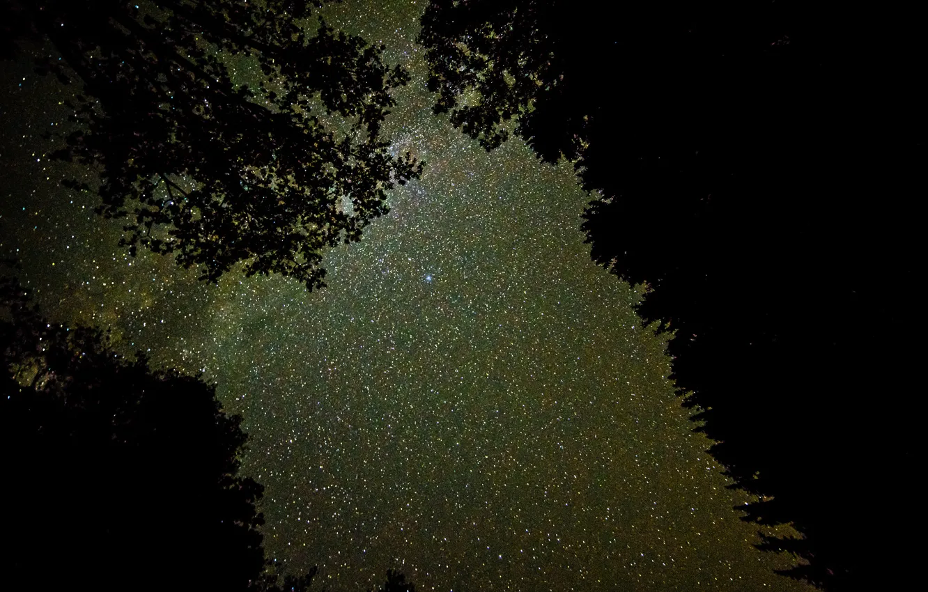Фото обои космос, звезды, ночь, пространство